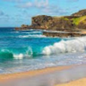 Meet your Posher, Claire